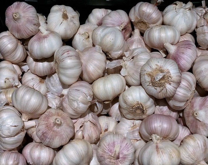 Nigerian fresh Garlic