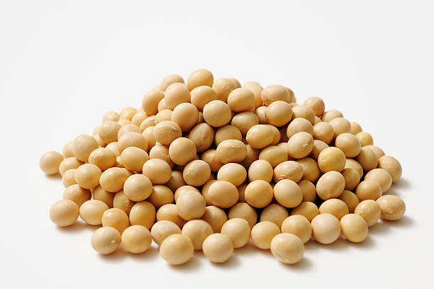 Nigerian Soya Beans